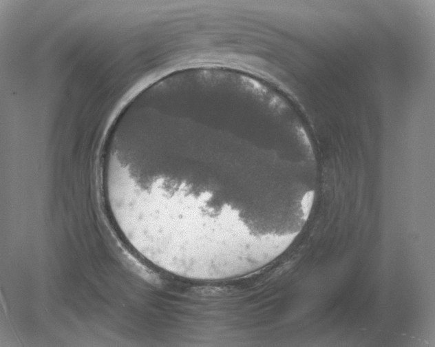 X0000080761517200701051223