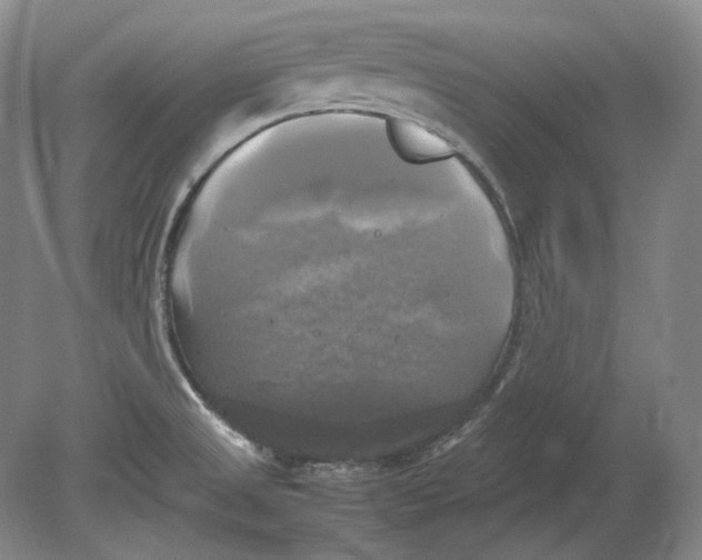 X0000080761525200701051223