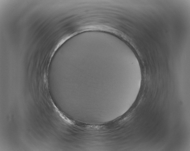 X0000080761529200701051223