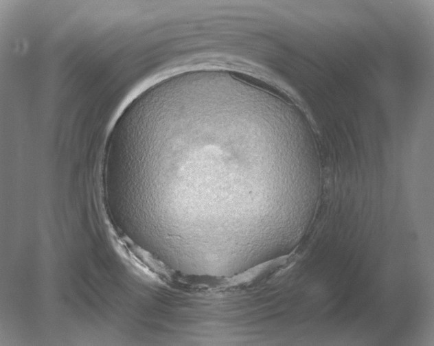 X0000080761530200701051223