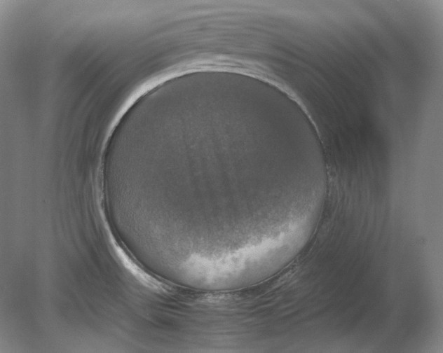 X0000080761531200701051223