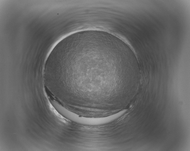 X0000080761532200701051223