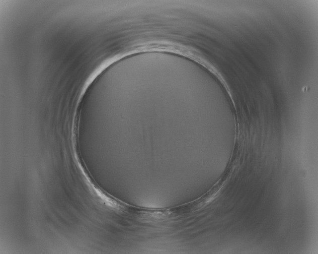X0000080761533200701051223