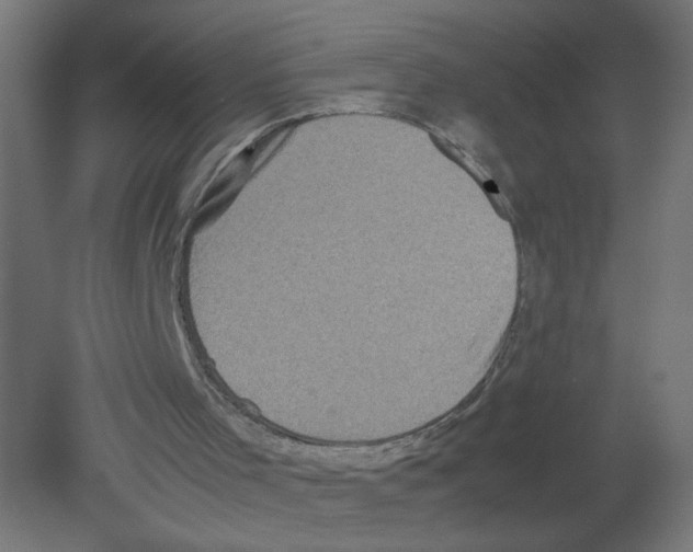 X0000080760001200701122041
