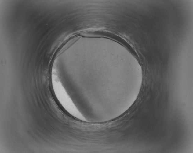 X0000080760002200701122041
