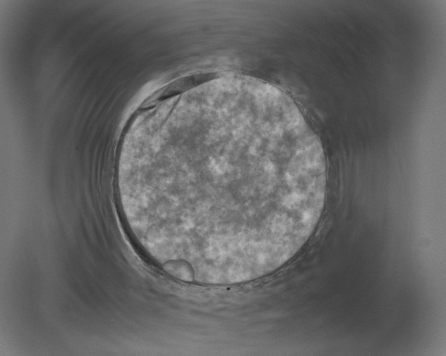X0000080760003200701122041