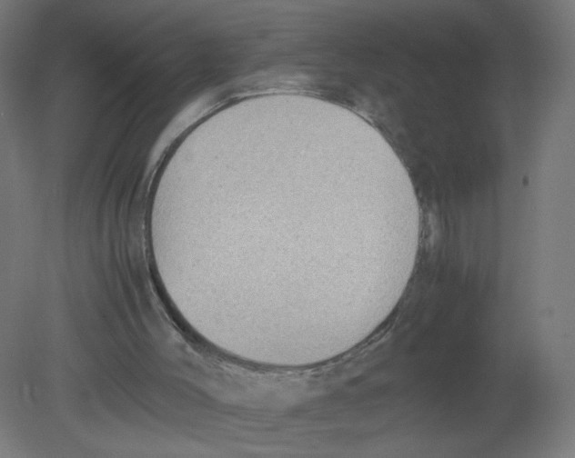 X0000080760004200701122041