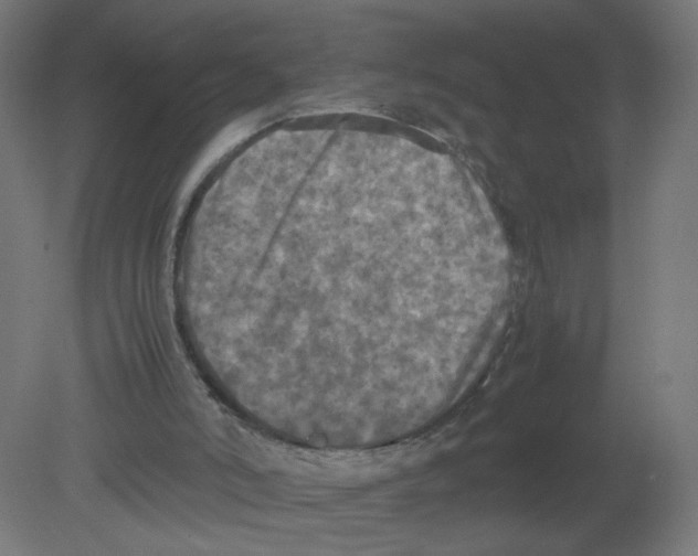 X0000080760006200701122041