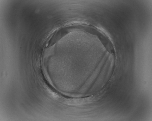 X0000080760009200701122041