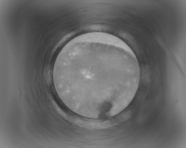 X0000080760016200701122041