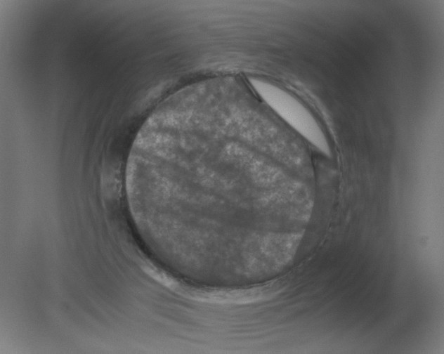 X0000080760017200701122041
