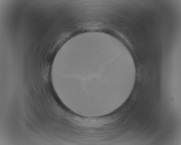 X0000080760018200701122041