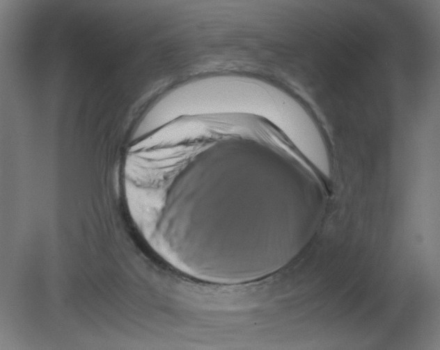 X0000080760019200701122041