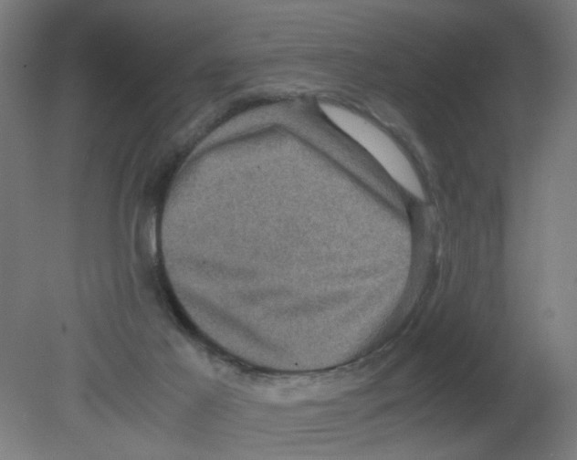 X0000080760021200701122041