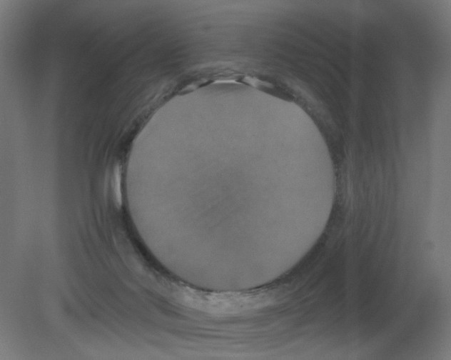 X0000080760022200701122041