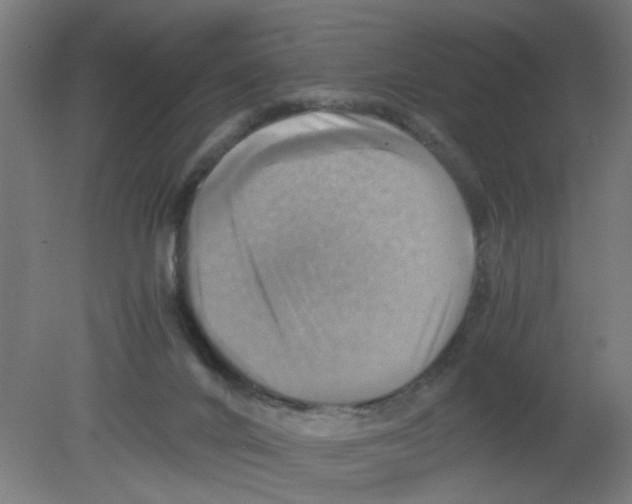 X0000080760024200701122041