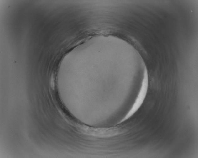 X0000080760026200701122041