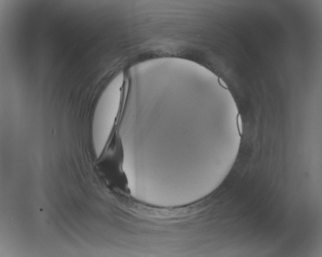 X0000080760027200701122041