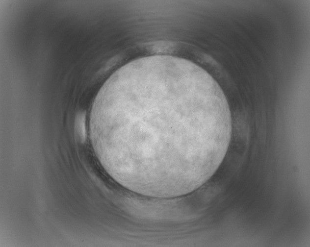 X0000080760028200701122041