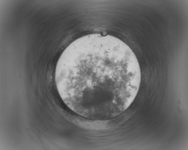 X0000080760032200701122041