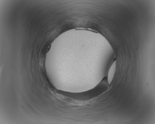 X0000080760033200701122041