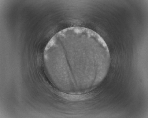 X0000080760034200701122041