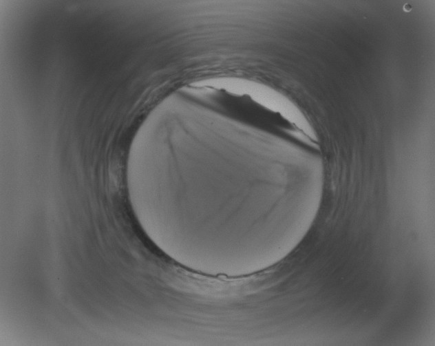 X0000080760035200701122041