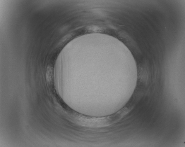 X0000080760036200701122041