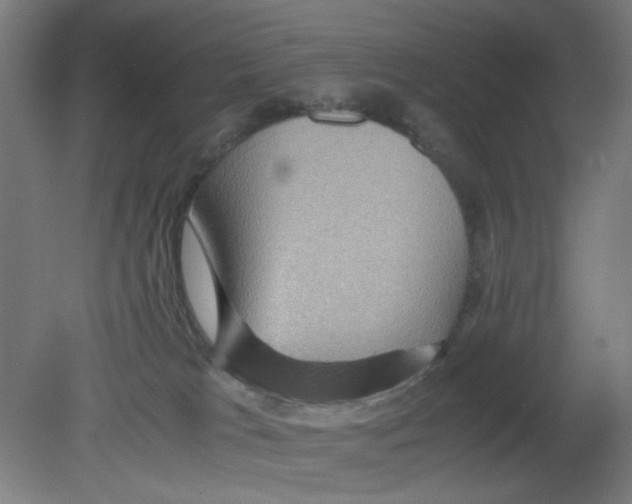 X0000080760037200701122041