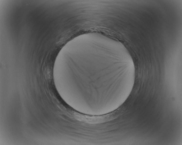 X0000080760039200701122041