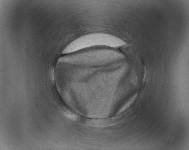 X0000080760041200701122041