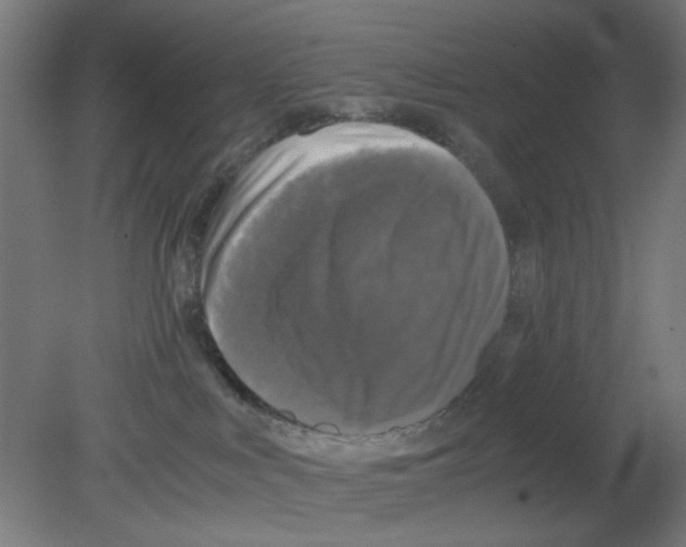 X0000080760043200701122041