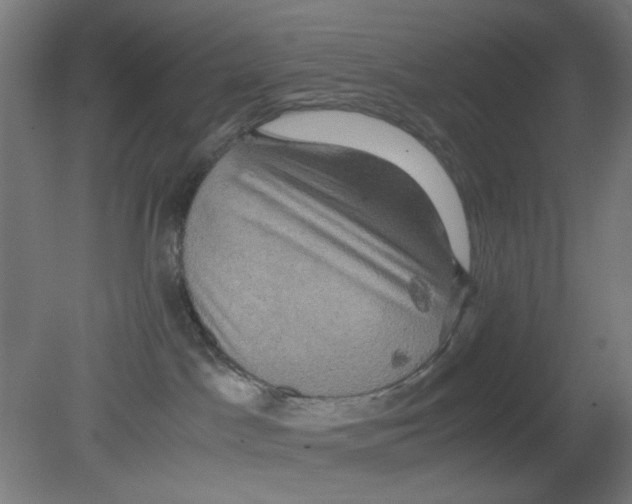 X0000080760045200701122041
