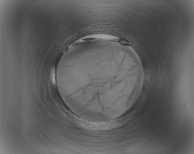 X0000080760046200701122041