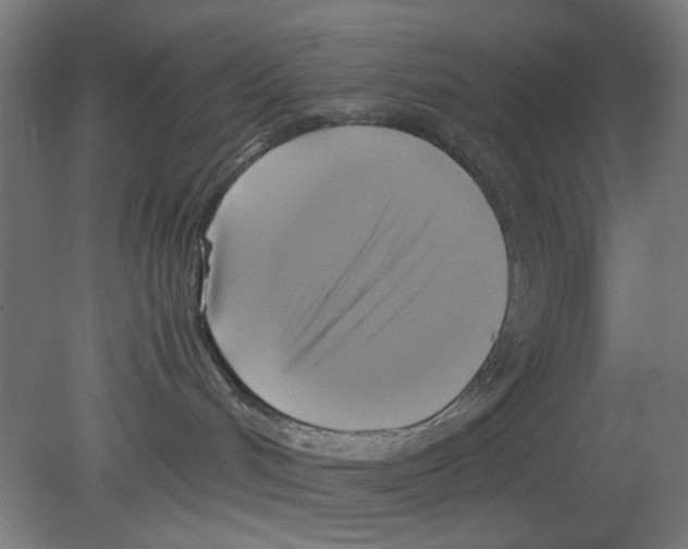 X0000080760048200701122041