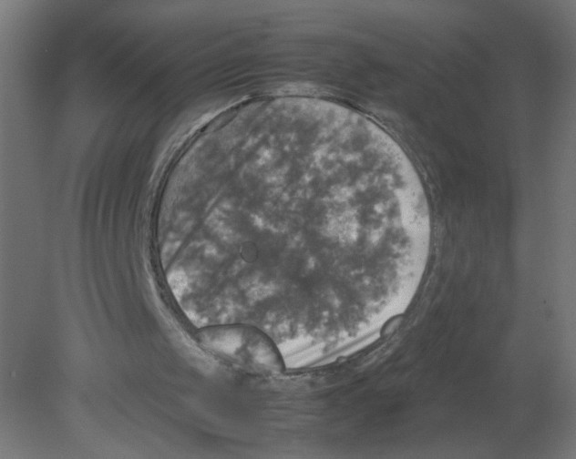 X0000080760049200701122040