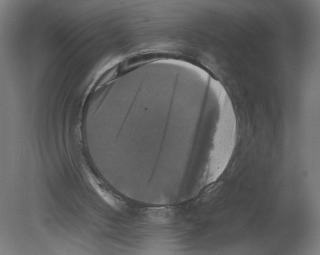 X0000080760050200701122040