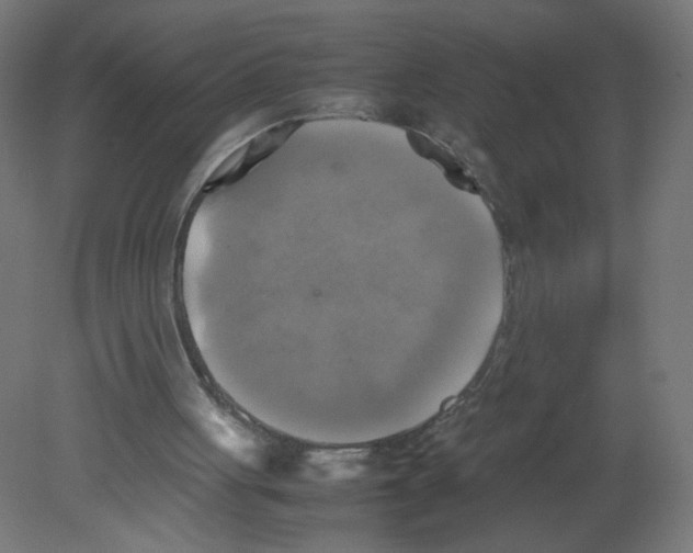 X0000080760051200701122040