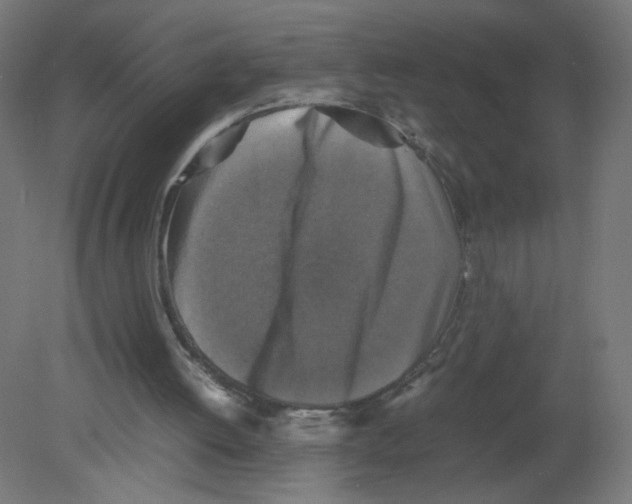 X0000080760052200701122040