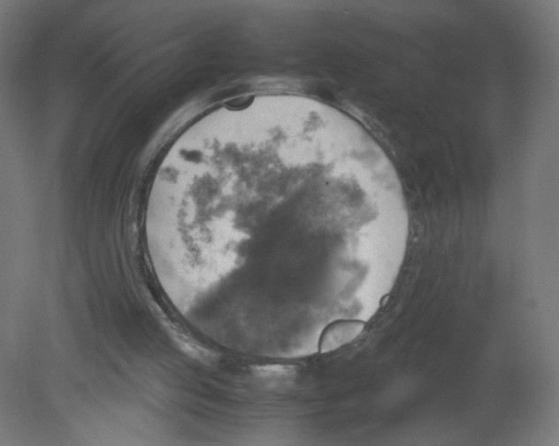 X0000080760053200701122040