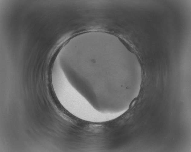 X0000080760055200701122040