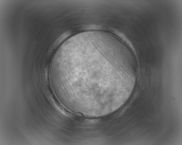 X0000080760057200701122040