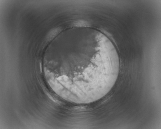 X0000080760061200701122040
