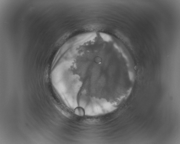 X0000080760065200701122040