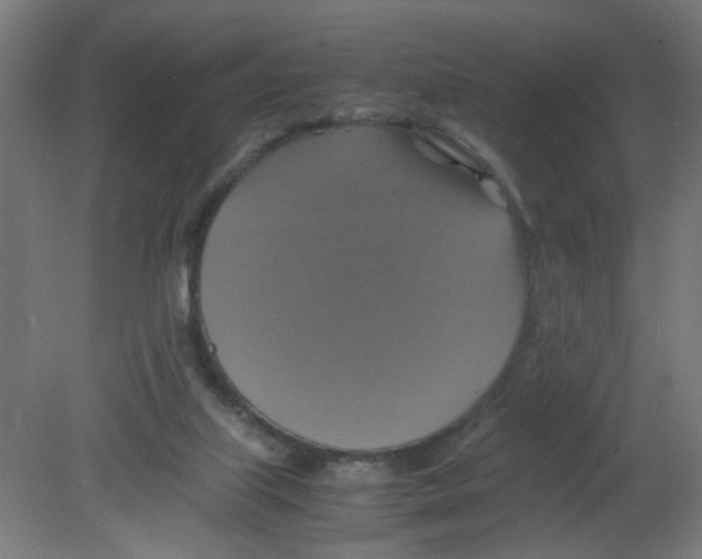X0000080760067200701122040