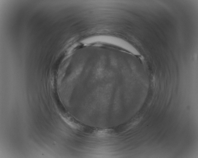 X0000080760072200701122040