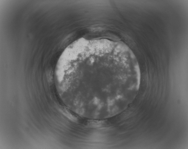 X0000080760081200701122040