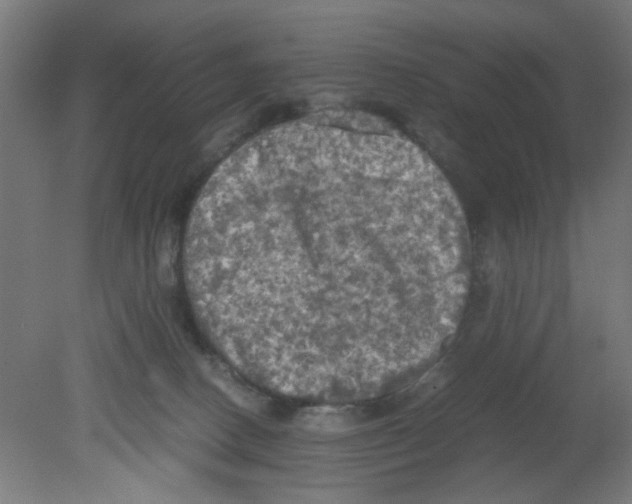 X0000080760082200701122040