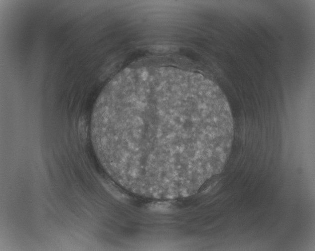 X0000080760086200701122040