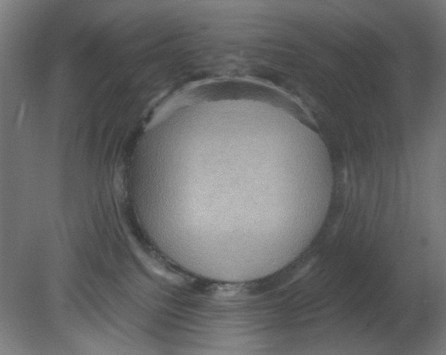 X0000080760088200701122040